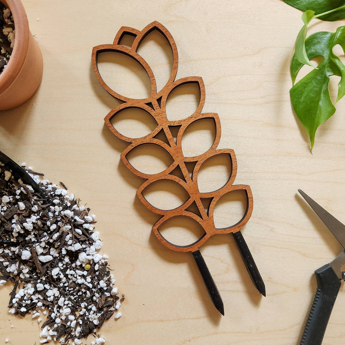 Tulip Wood Trellis Mini