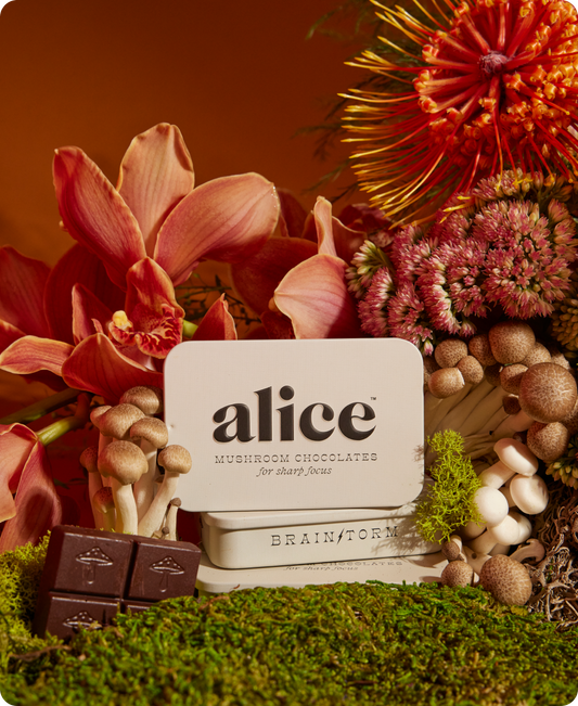 Brainstorm Mushroom Chocolates for FOCUS