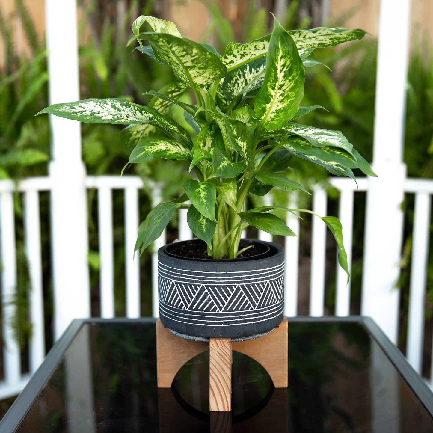 7" Mountain Cement With Wood Stand