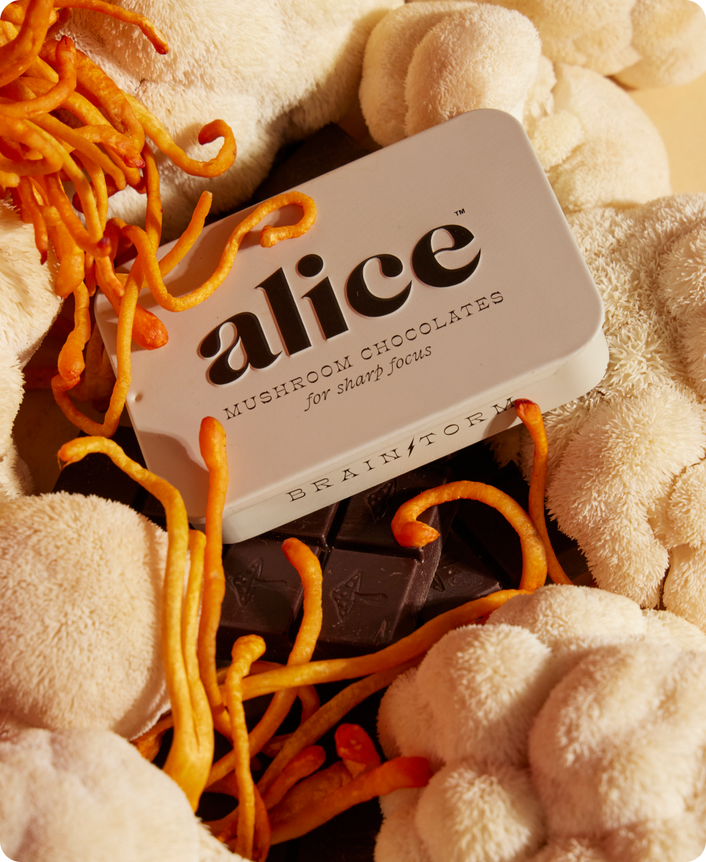 Brainstorm Mushroom Chocolates for FOCUS