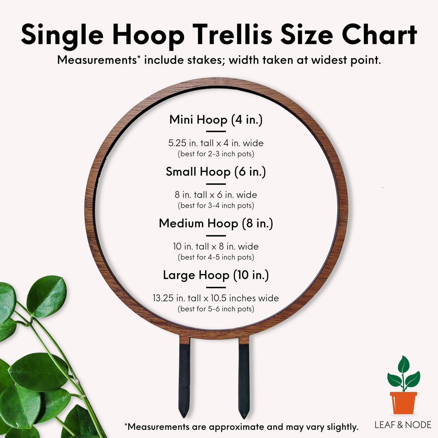 Wood Single Hoop Trellis: Small
