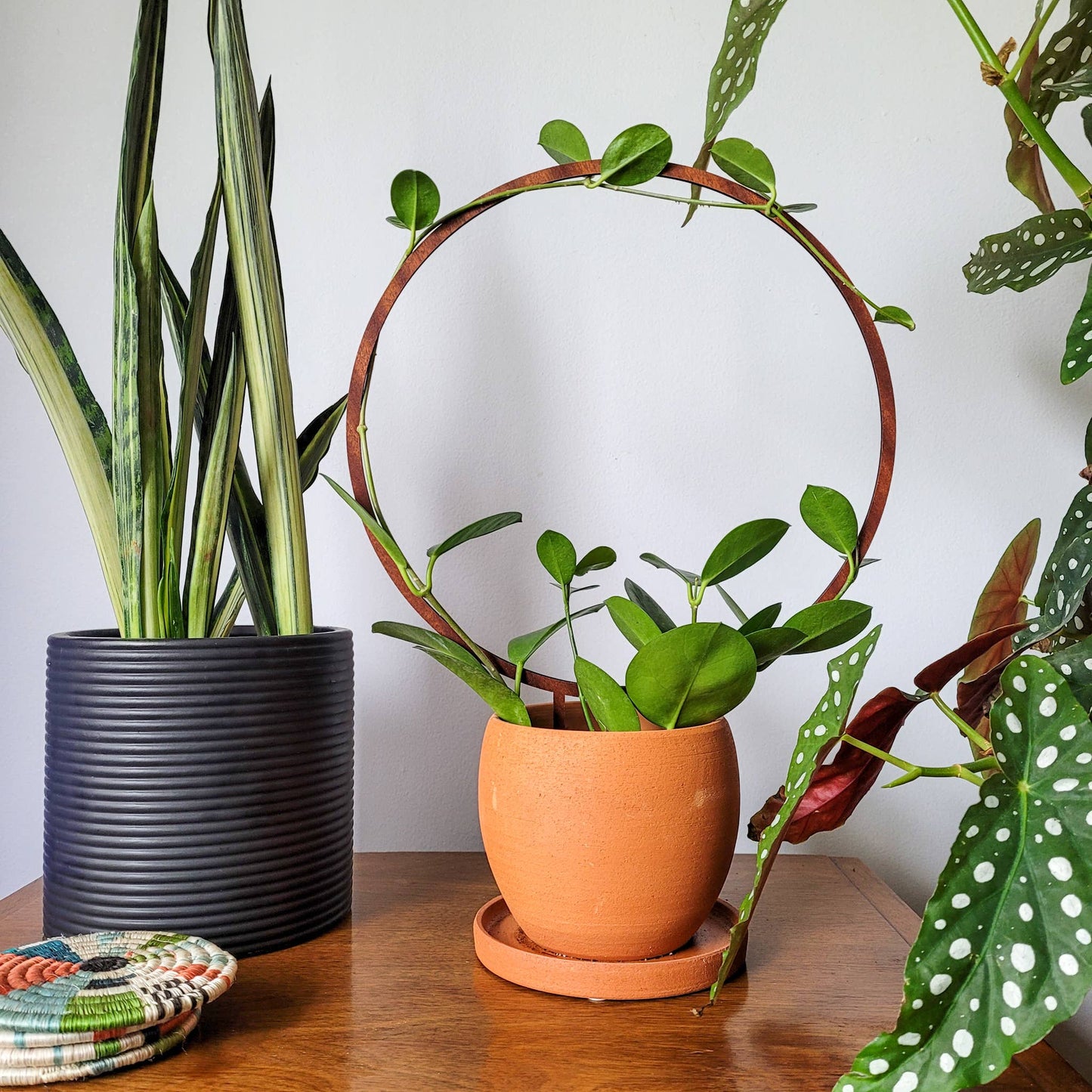 Wood Single Hoop Trellis: Small