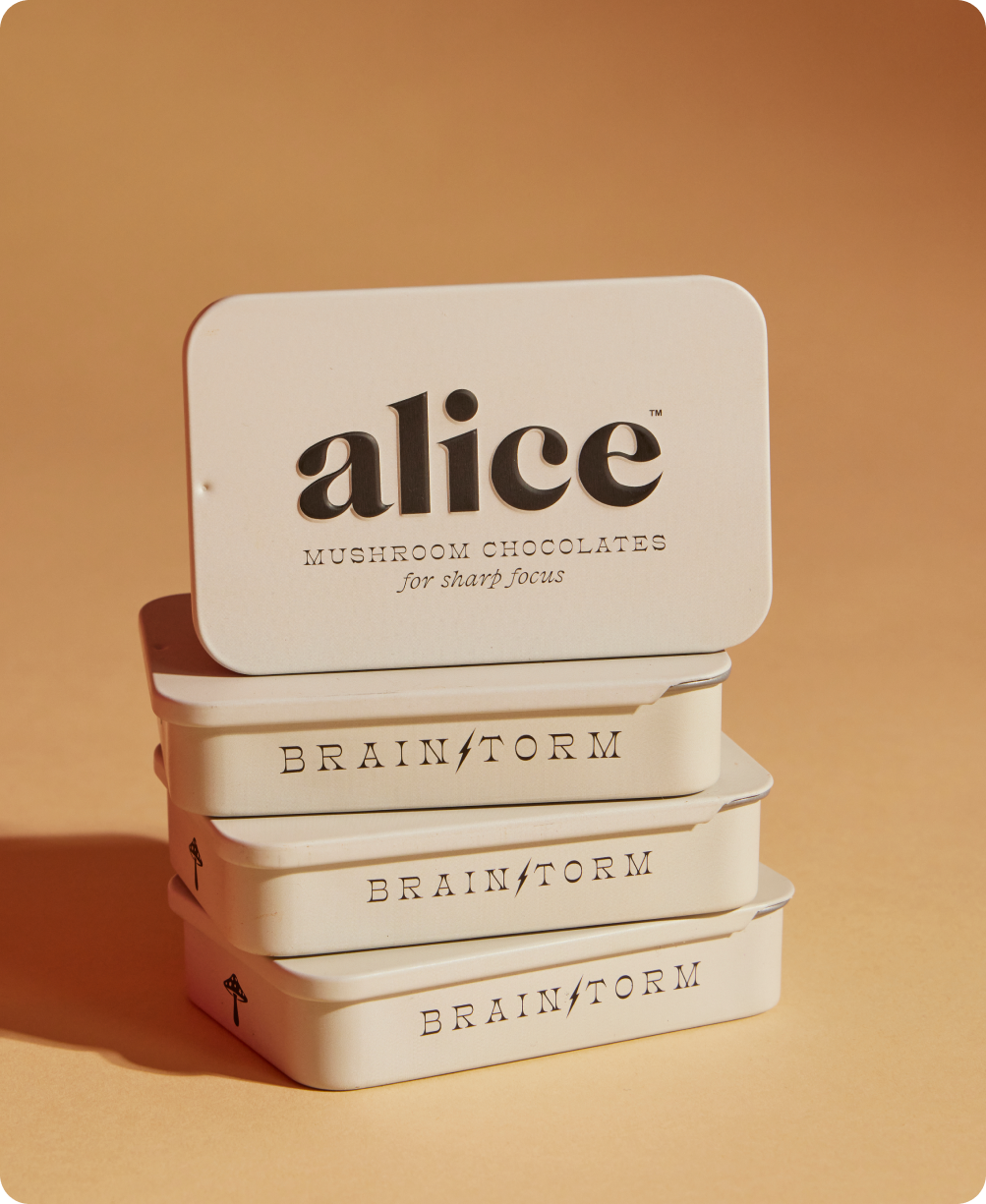 Brainstorm Mushroom Chocolates for FOCUS