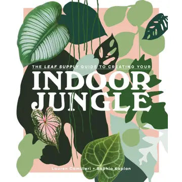 Indoor Jungle
