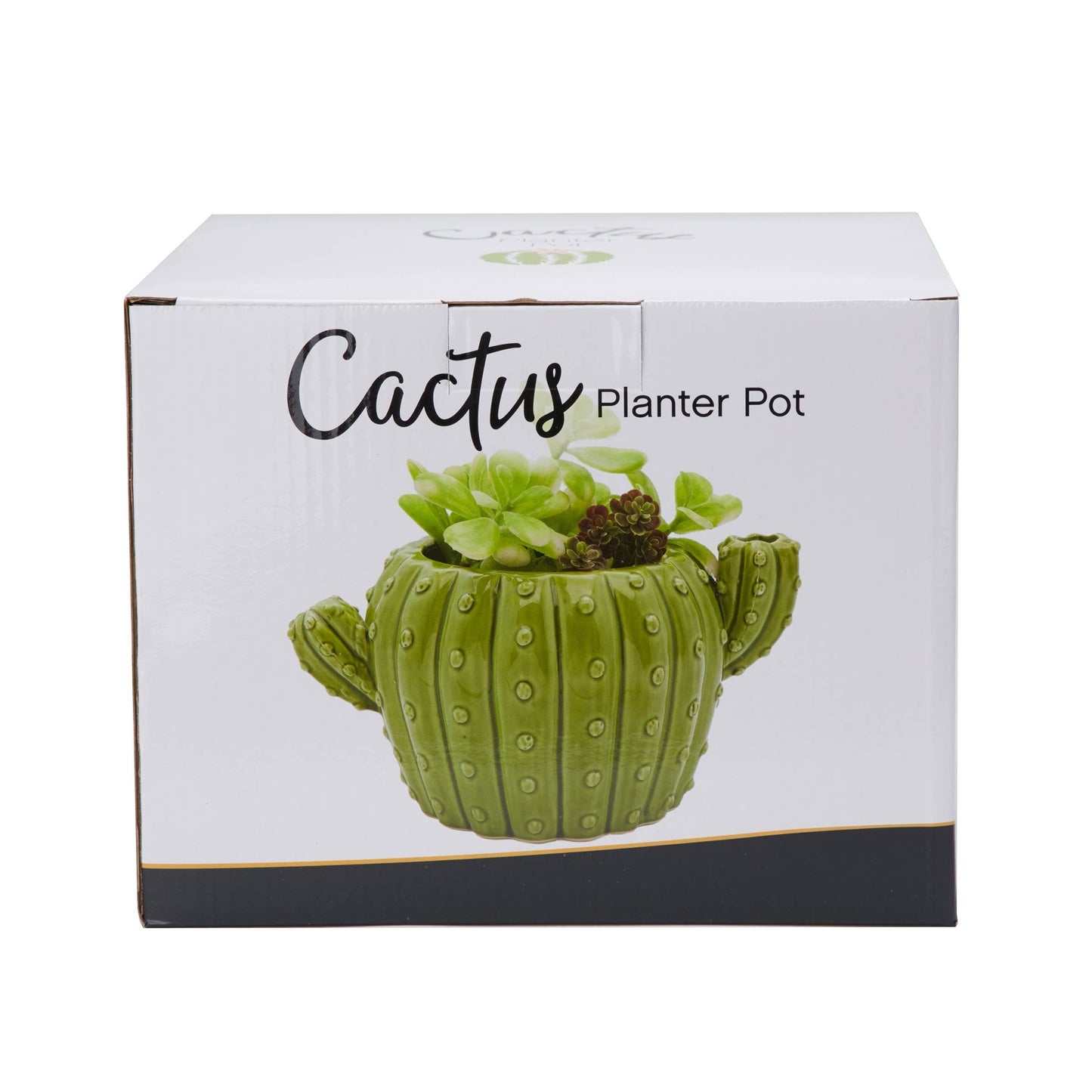 Cactus Flower Pot