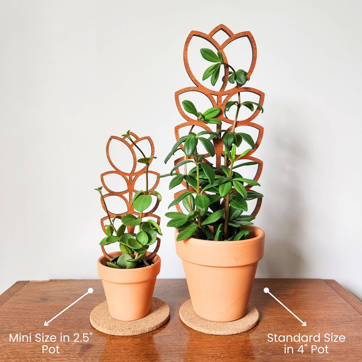 Tulip Wood Trellis Mini