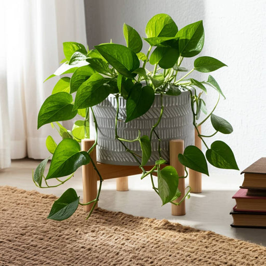 Ceramic Tribal Geometric Planter Wood Stand - Ivory, 6 in.