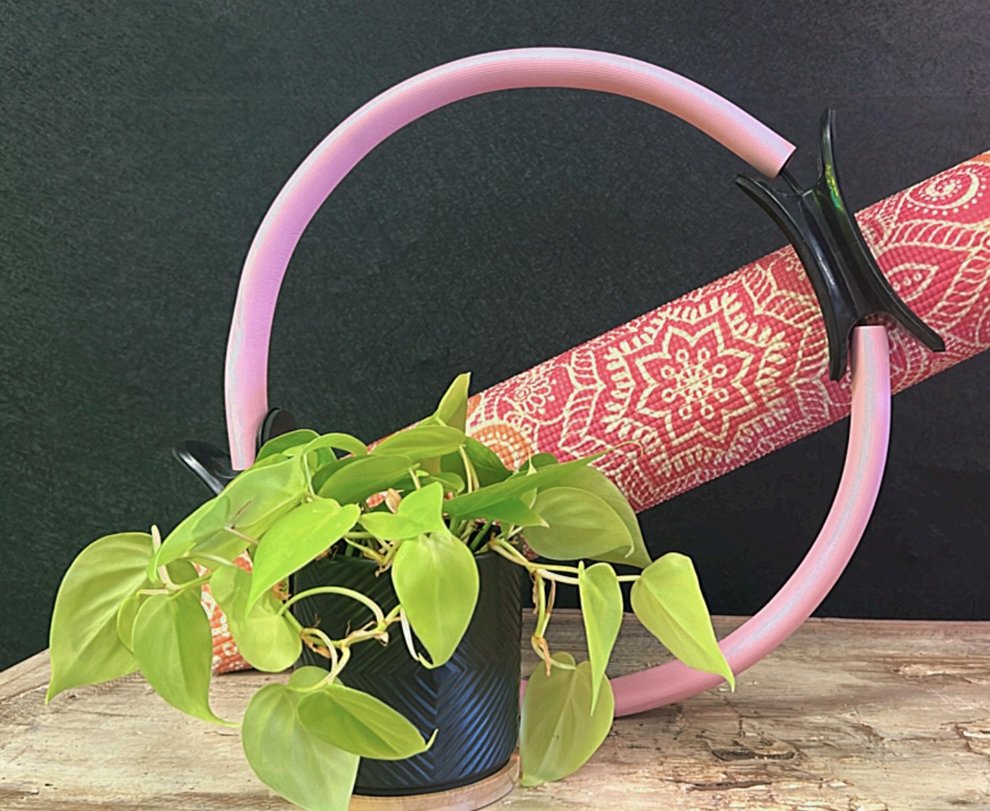 Nov 15 PLANTS & PILATES