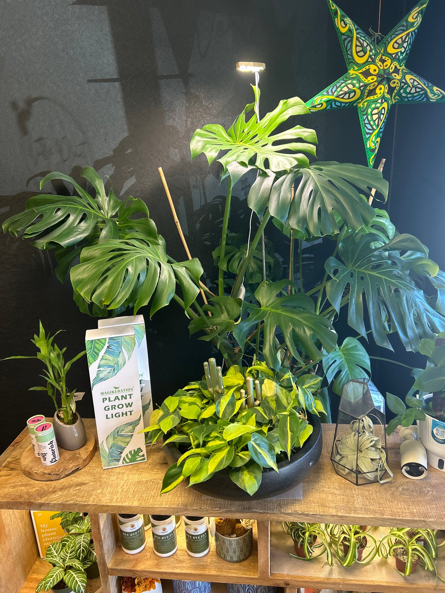Leaf Grow Light