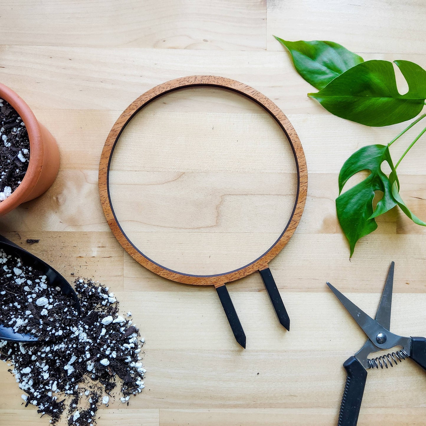 Wood Single Hoop Trellis: Small