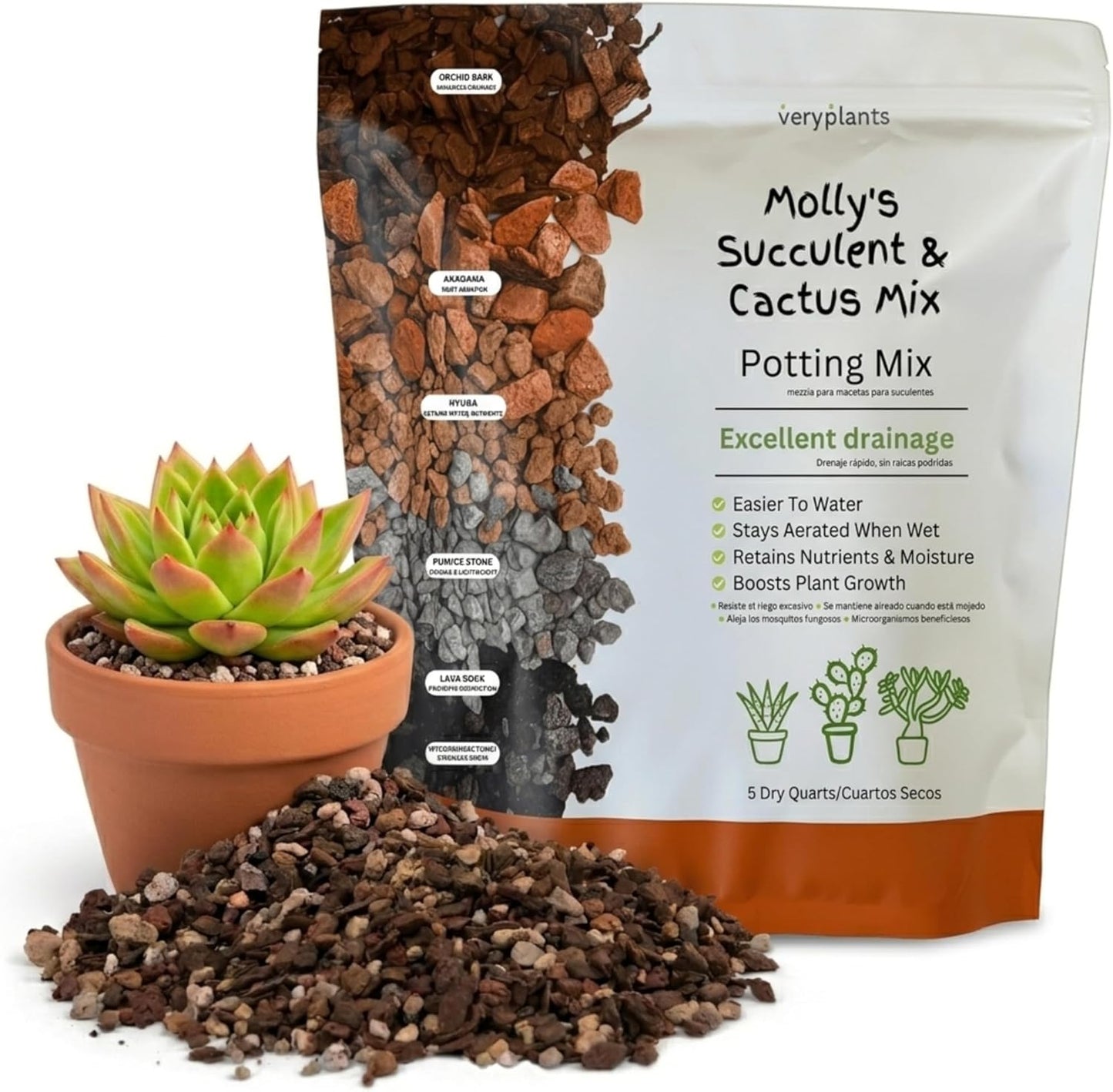Molly's Cactus Mix 3ct