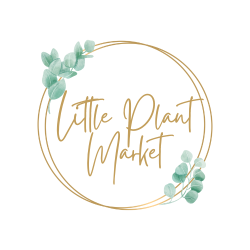 Little Plant Market