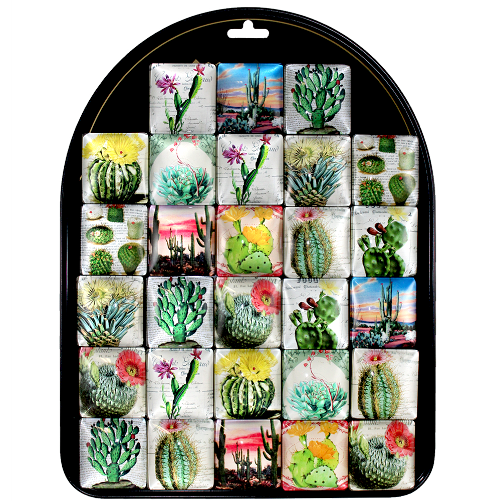 Desert Beauty Cactus Magnets