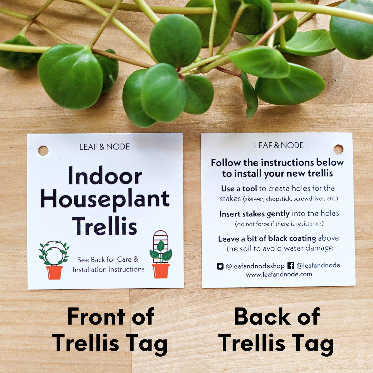 Wood Single Hoop Trellis: Medium