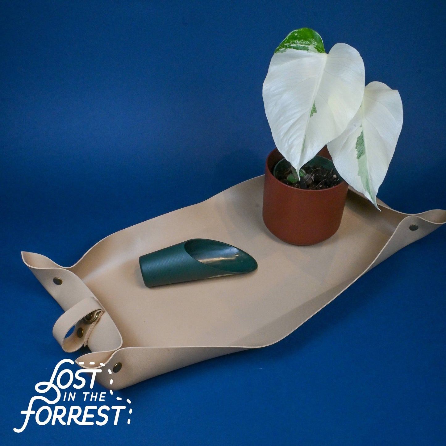 Soil Scoop