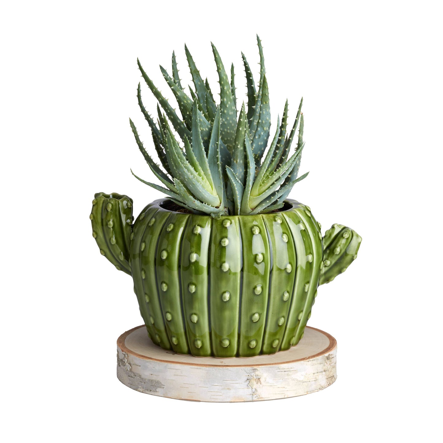 Cactus Flower Pot