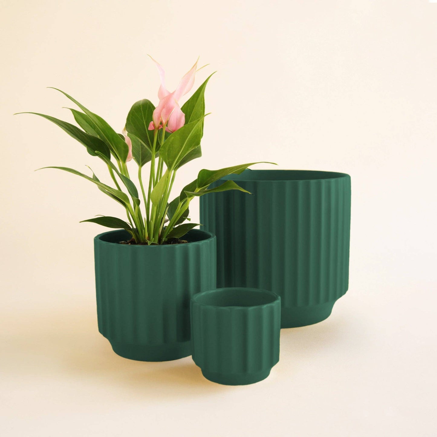 Monroe Planter - Rainforest: 4.5 inch