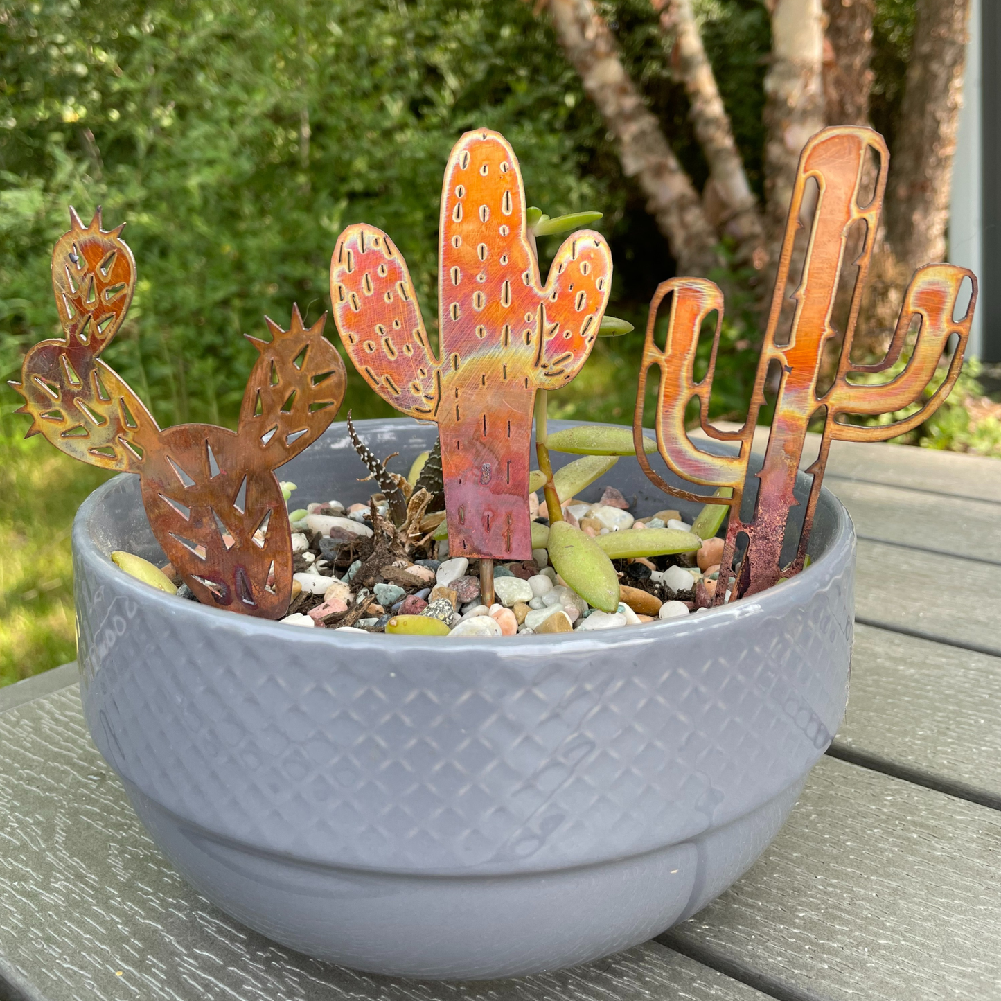 Copper Cactus