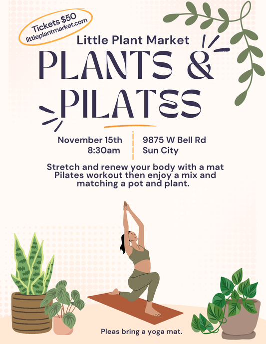 Nov 15 PLANTS & PILATES