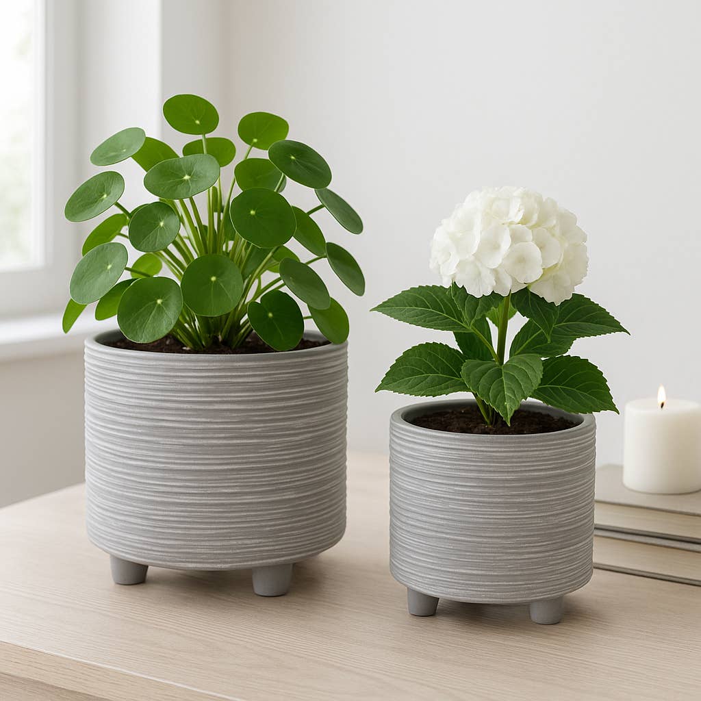 Planters Set of 2 - Gray Ceramic Footed With Lines, 6/8 in.