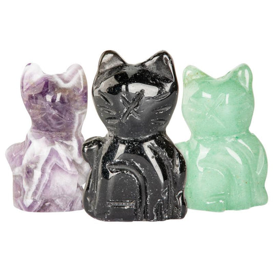 WHITE HOWLITE CAT