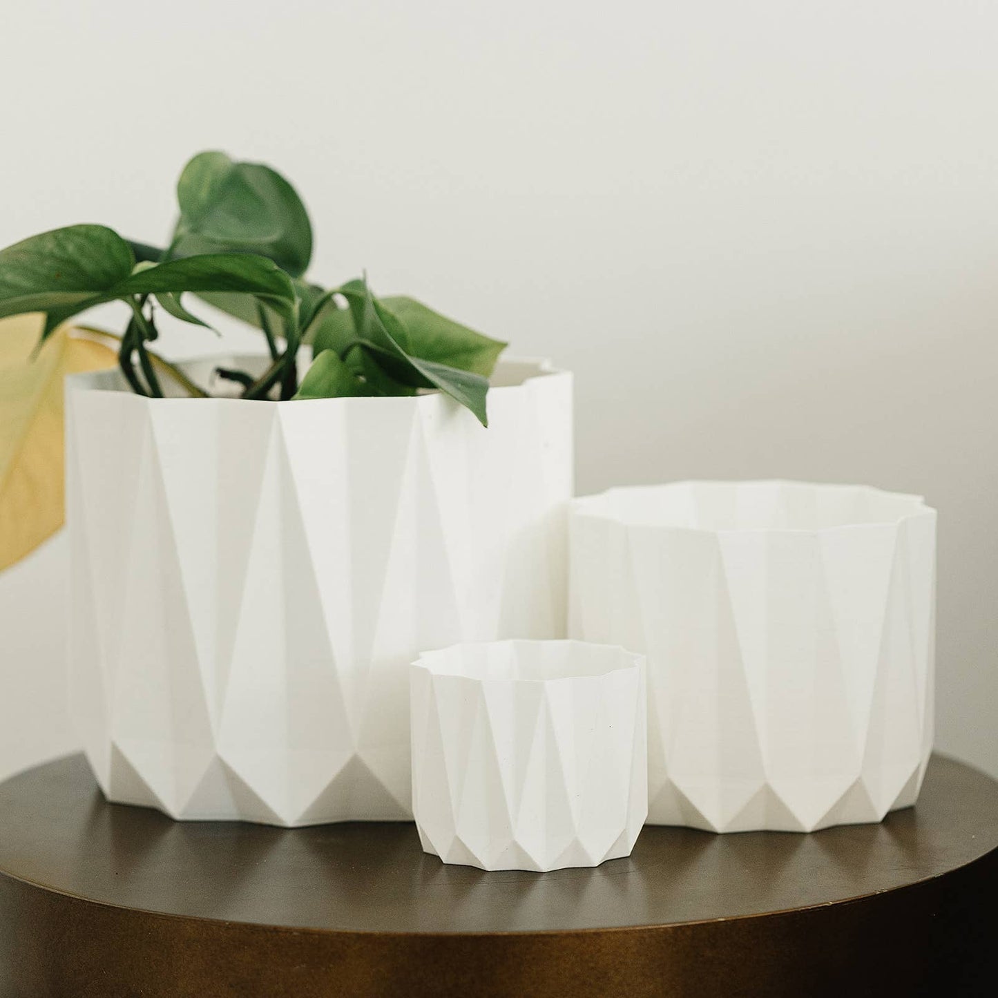 Lava Planter | Indoor Plant Pot: White / 6"