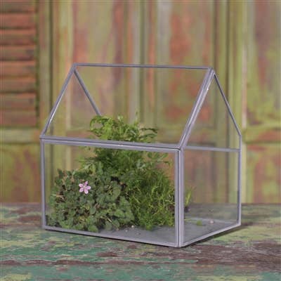 Pierre Cottage Glass Terrarium