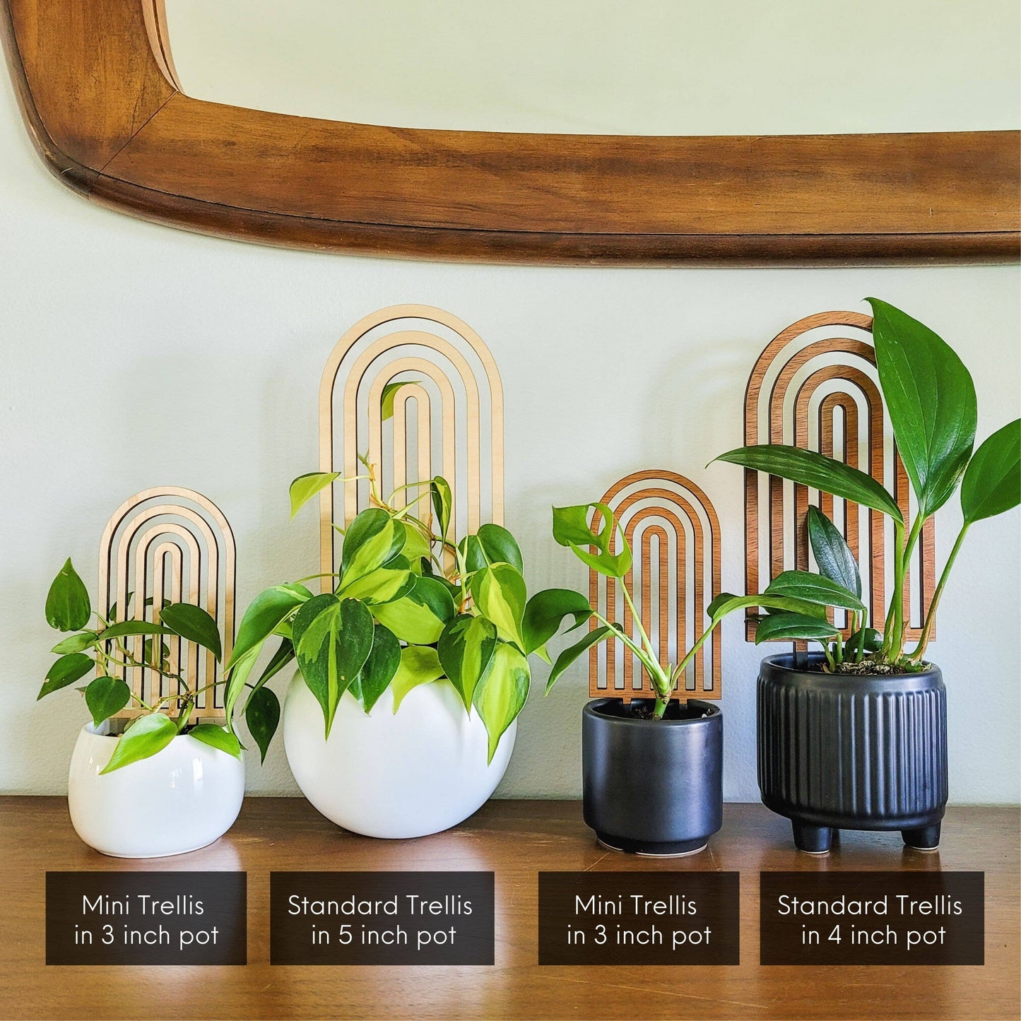 Wooden Rainbow Trellis :Mini