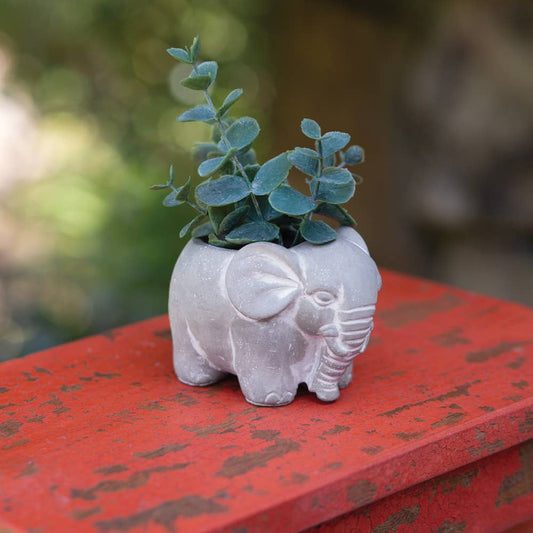 Small Cement Elephant Pot