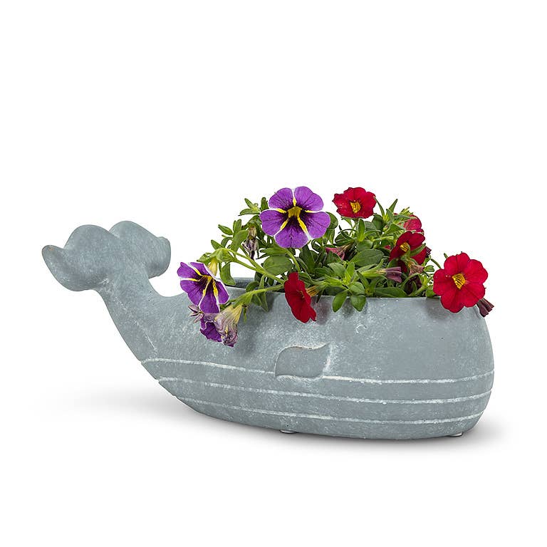Whale Low Pot