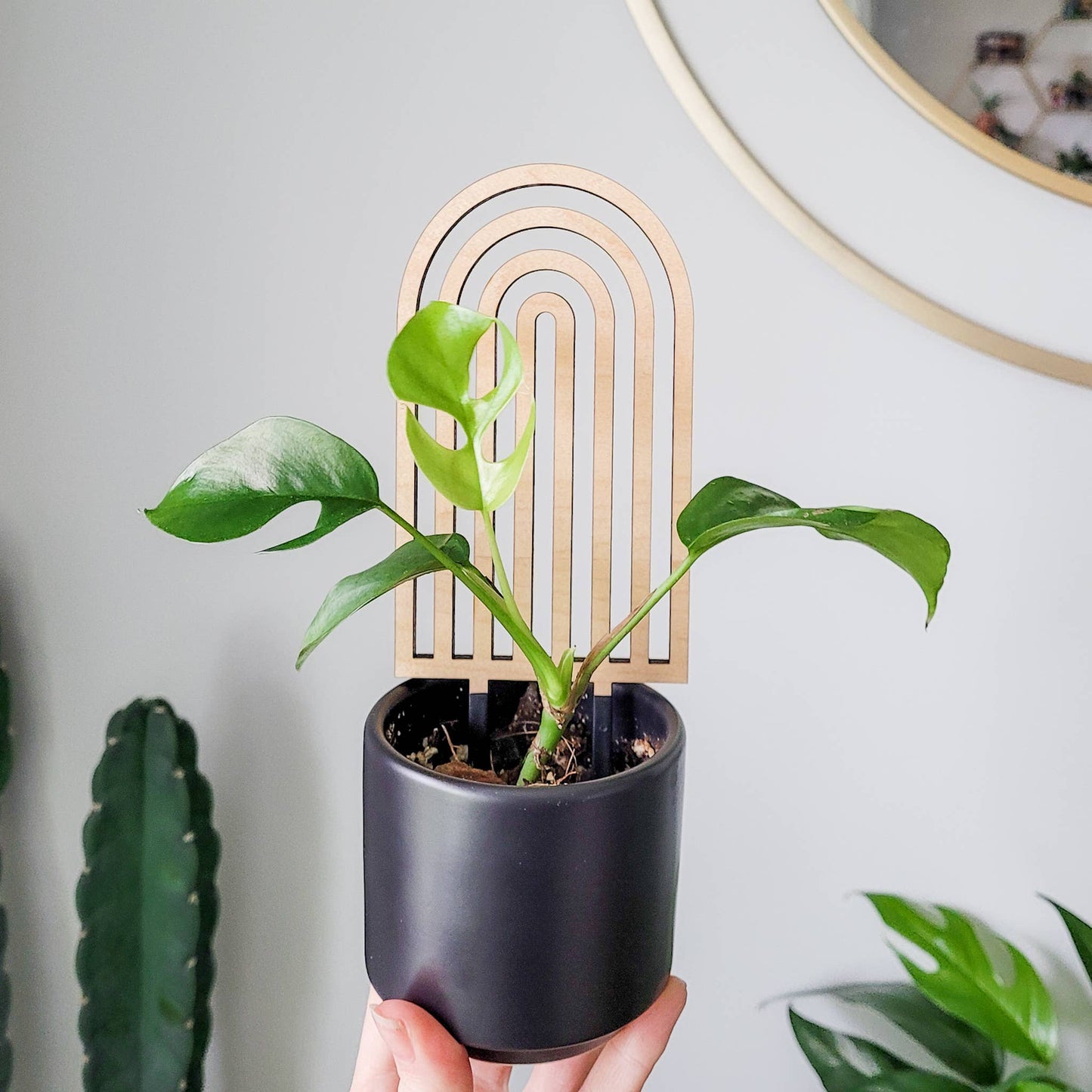Wooden Rainbow Trellis :Mini
