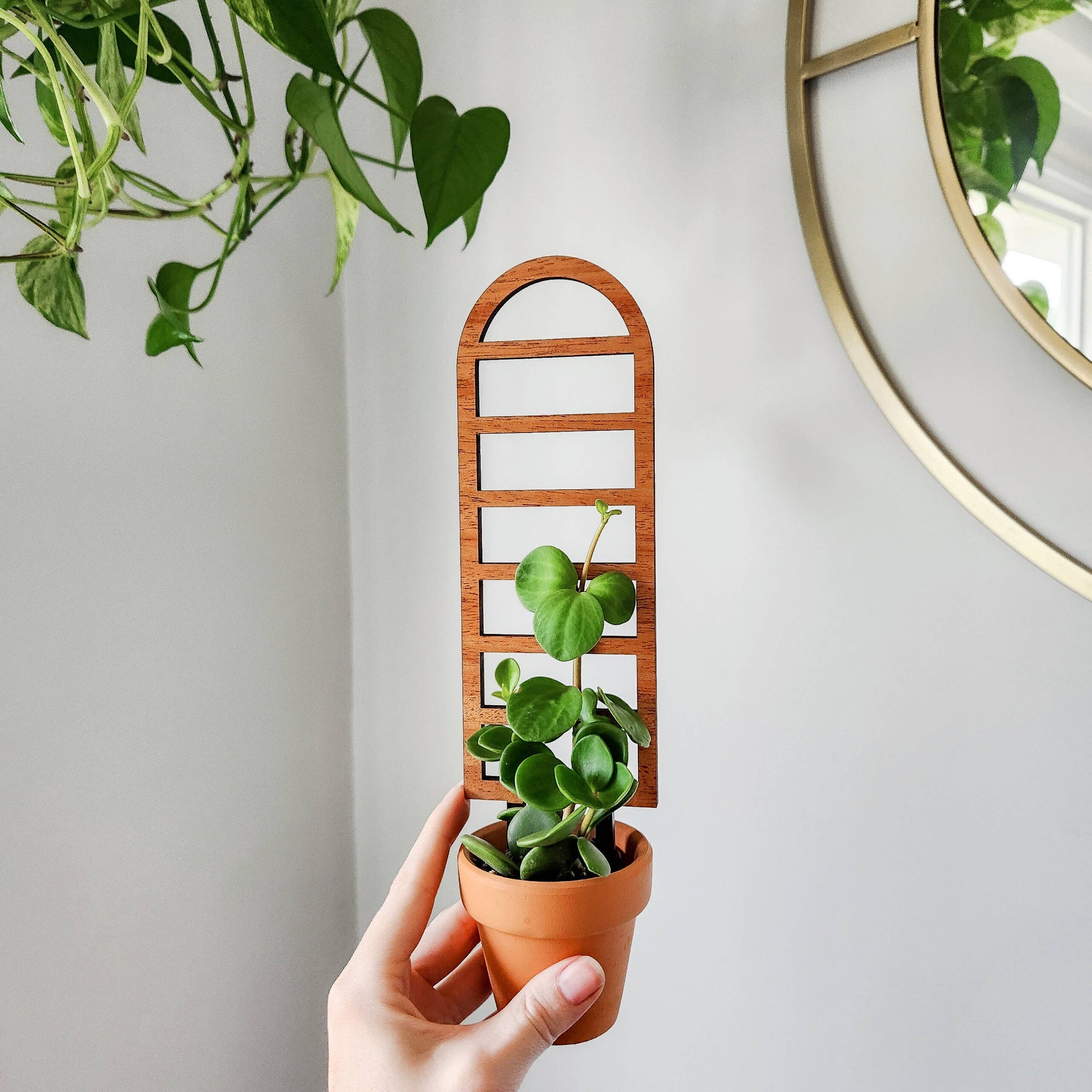 mini plant trellis Ladder-Style Arch Trellis : Mini (9.5" tall for 2-3" pots) – Little Plant Market