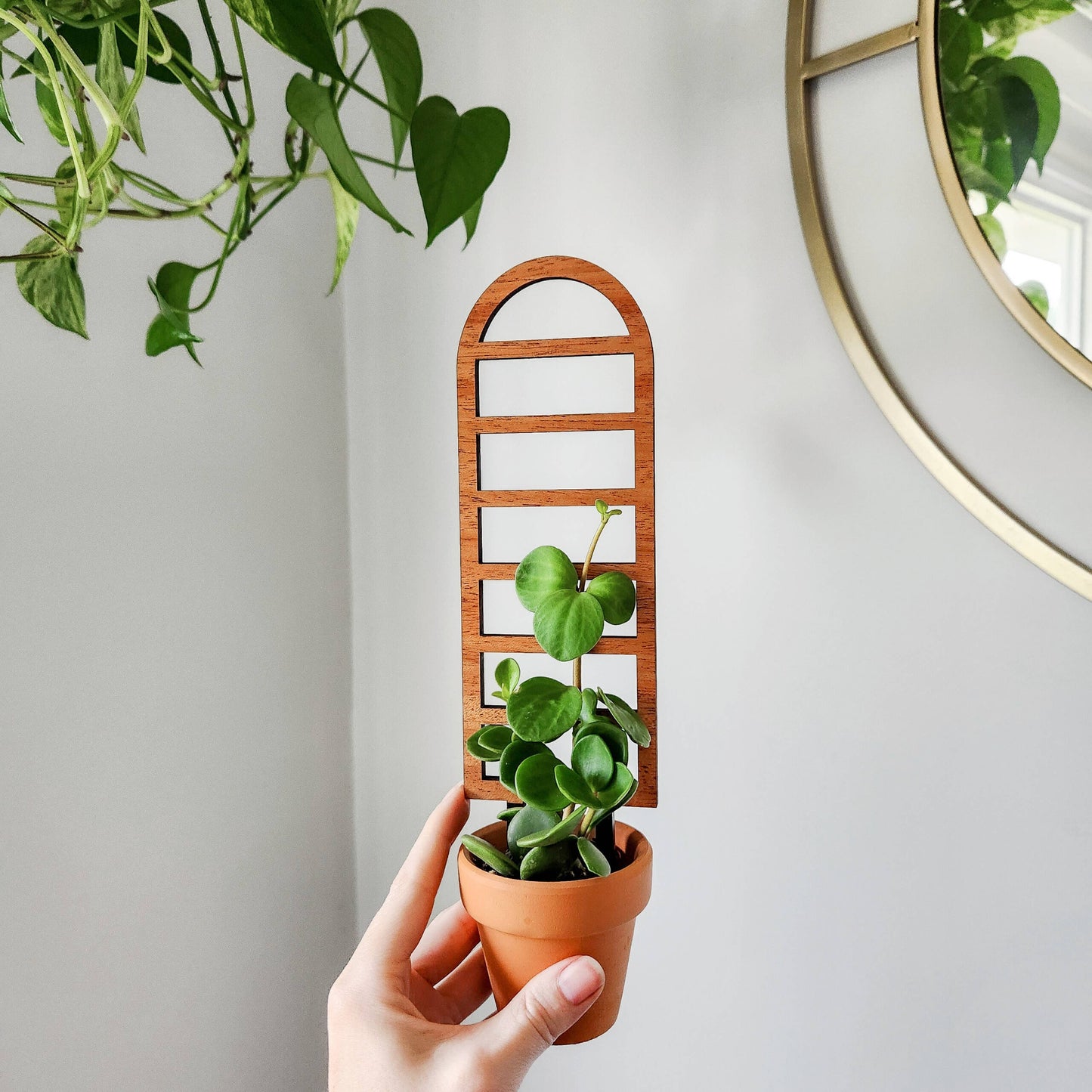Ladder-Style Arch Trellis : Mini (9.5" tall for 2-3" pots)
