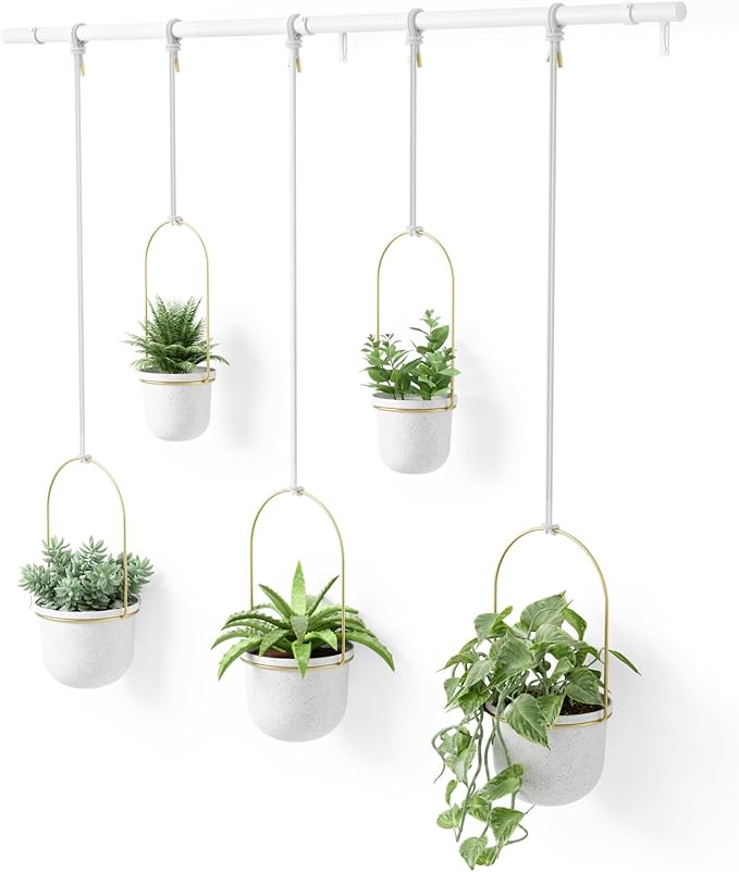 Umbra Plant Hanger- White and Brass