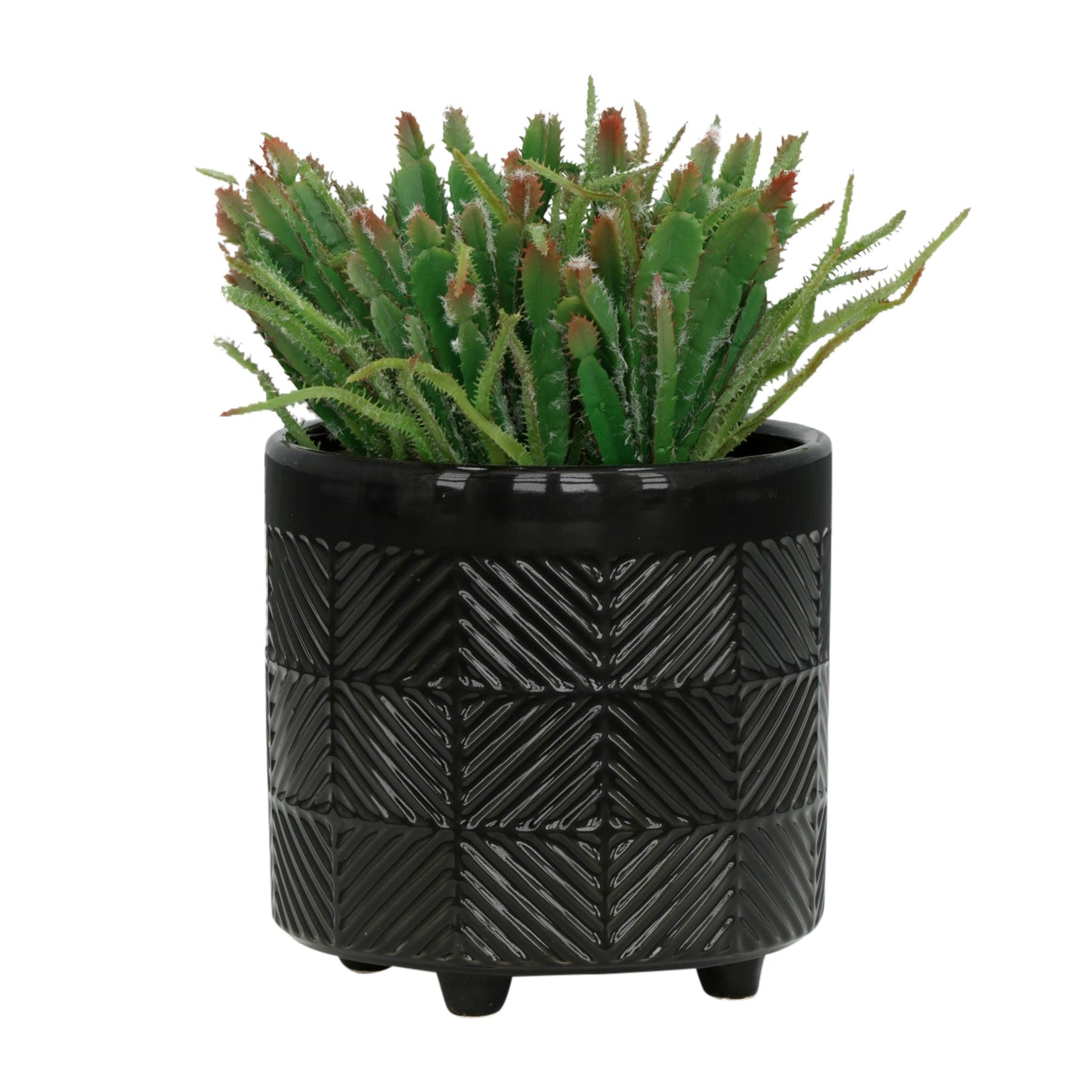 - Black Ceramic pot 8”