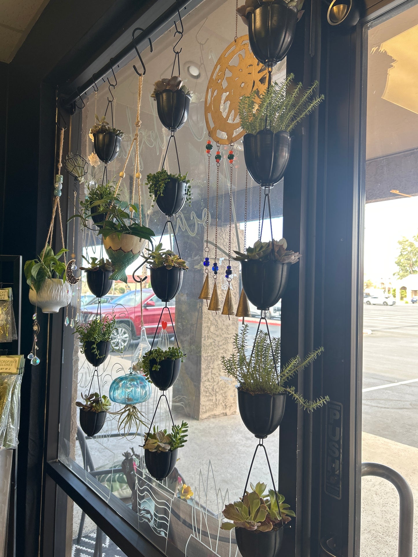 Rainchain Succulent Garden