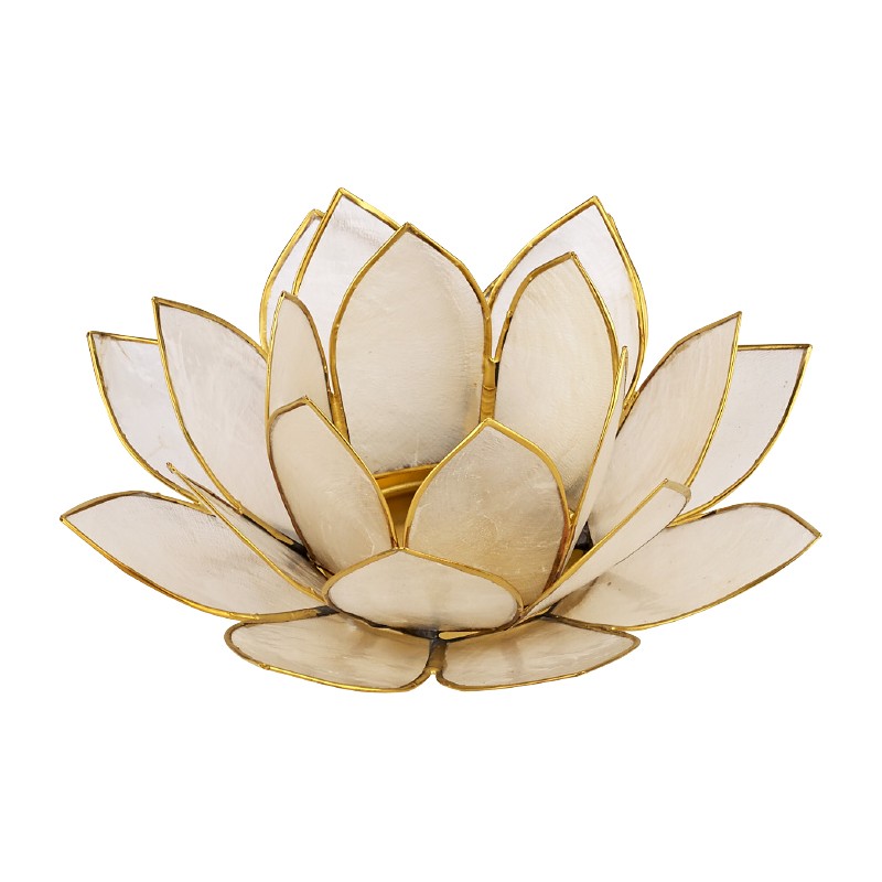 CAPIZ SHELL WHITE