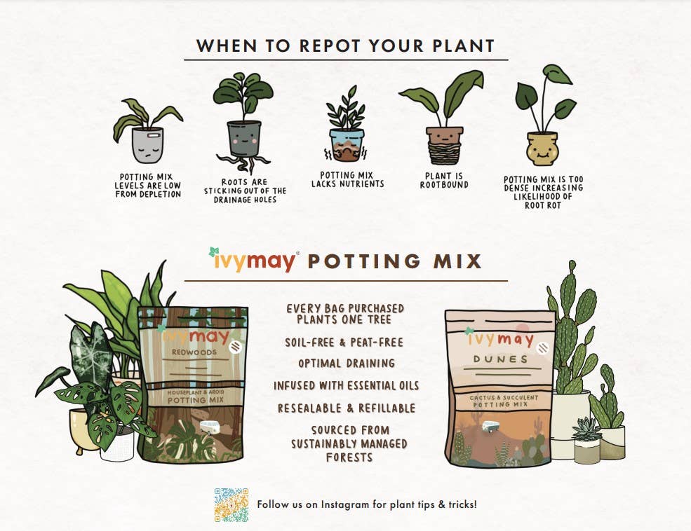Soil 8 QT
