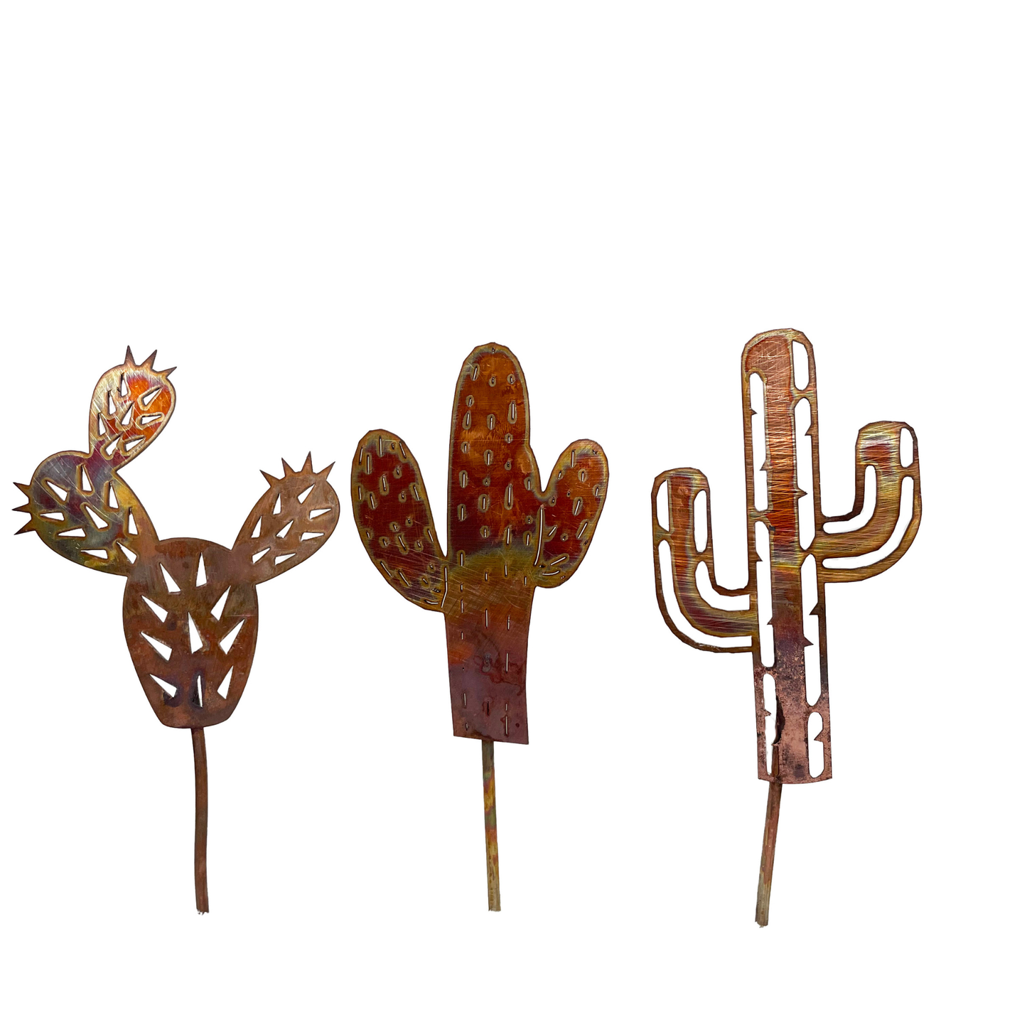 Copper Cactus