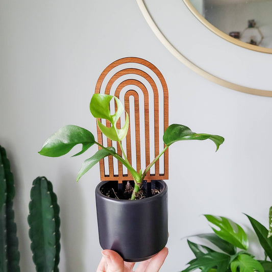Wooden Rainbow Trellis :Mini