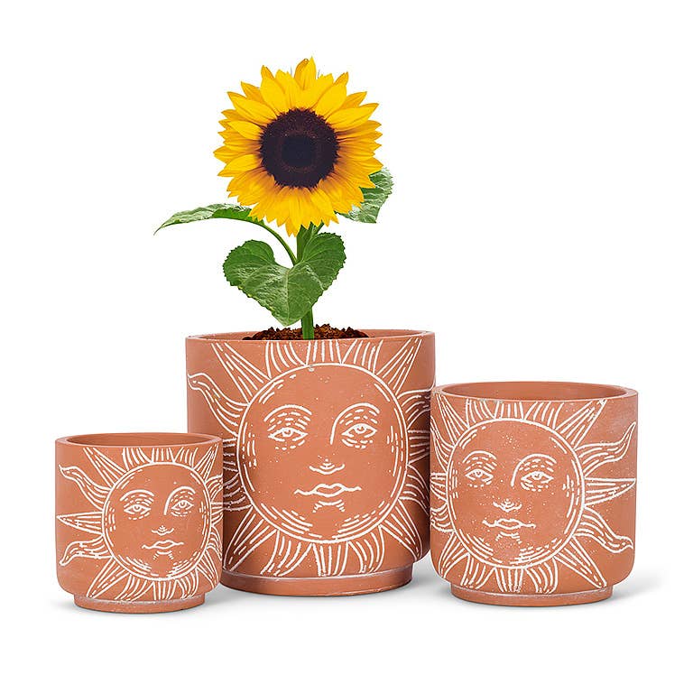 Sun Face Planter