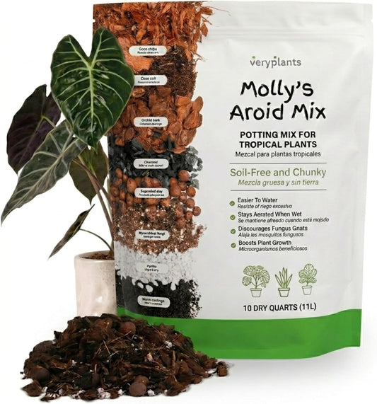 Molly's Aroid Mix 5ct