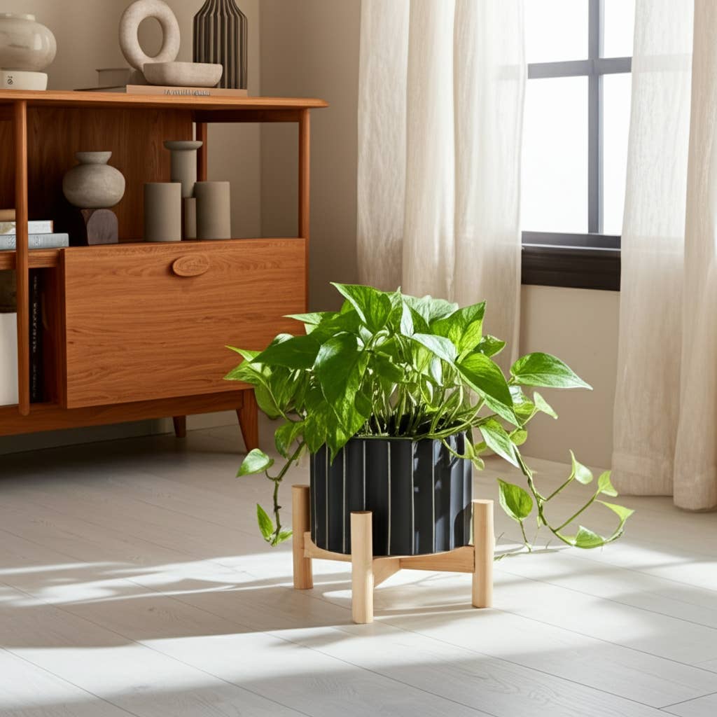 Striped Planter w/ Wood Stand 6"