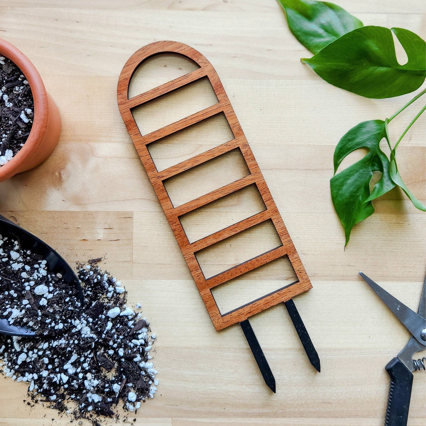 Ladder-Style Arch Trellis : Mini (9.5" tall for 2-3" pots)