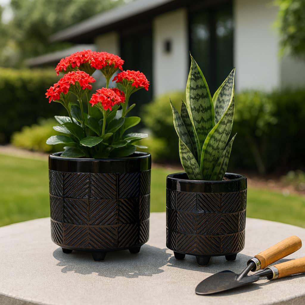 - Black Ceramic pot 8”