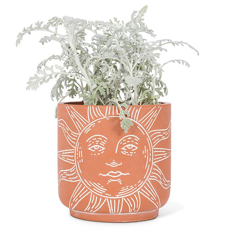Sun Face Planter