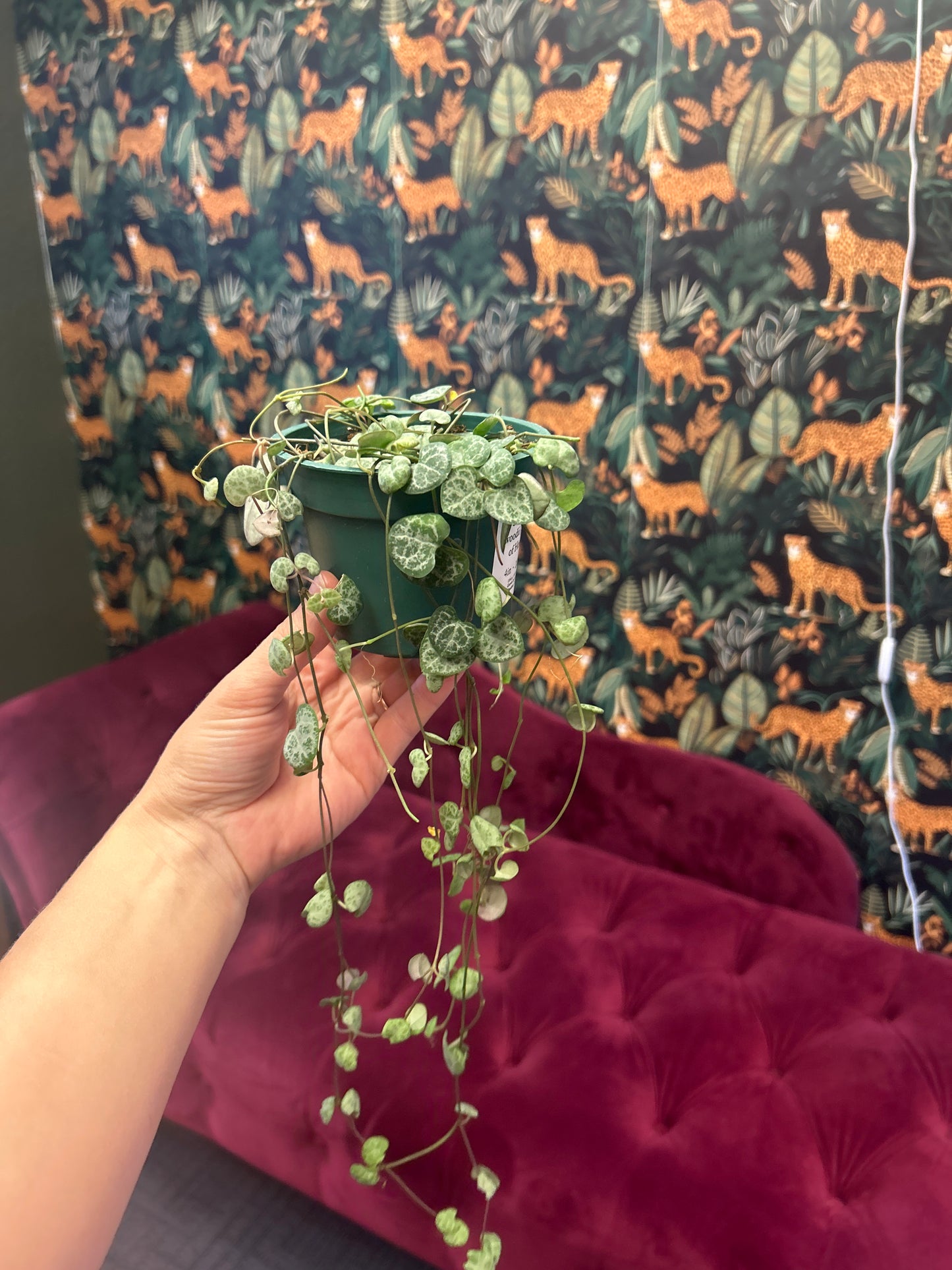 4" String of Hearts