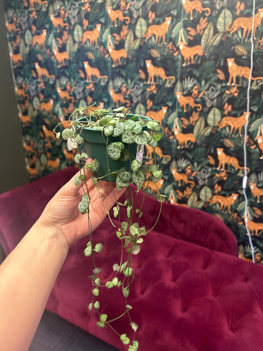 4" String of Hearts