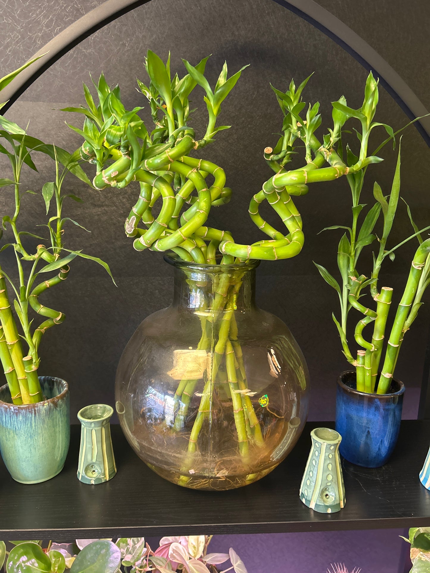 Loose Bamboo