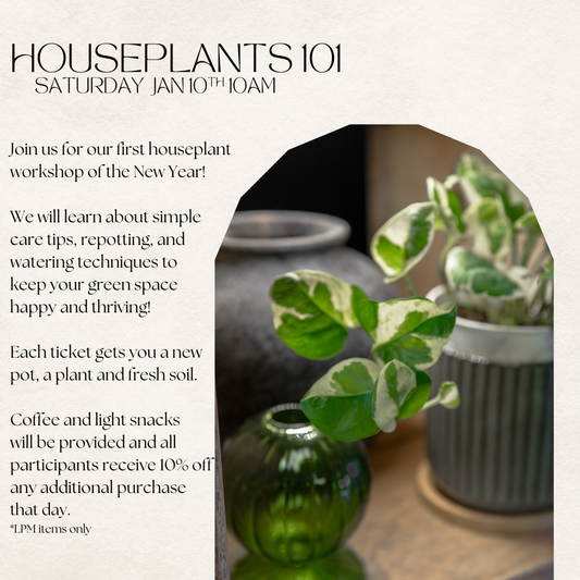 Houseplants 101